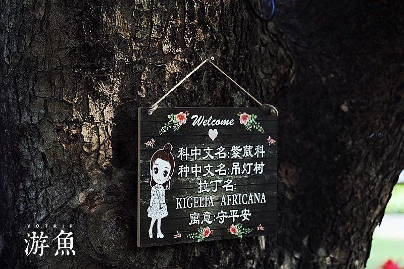 动物帮帮忙保卫家园